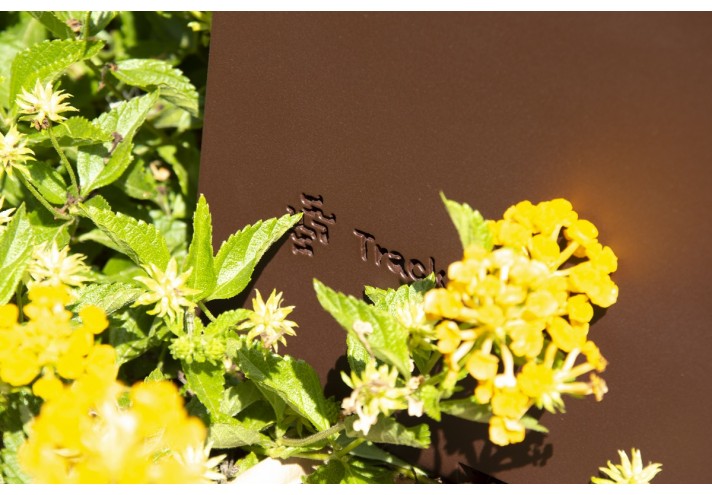 Design-furniture-Italy-Corten-design-Design-made-in-Italy-Italian-design-store-CUT | Corten bench