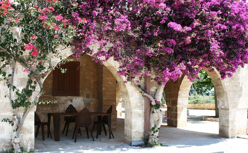 vista masseria salamina