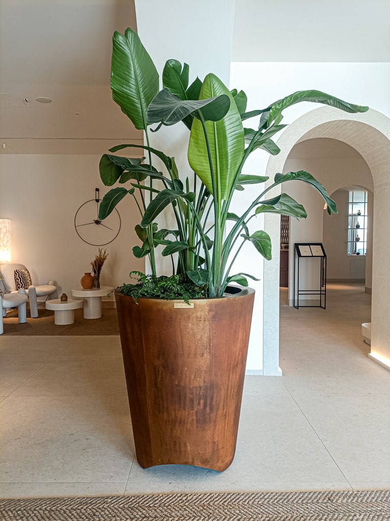 Hotel Cala Ponte — Fioriera in corten