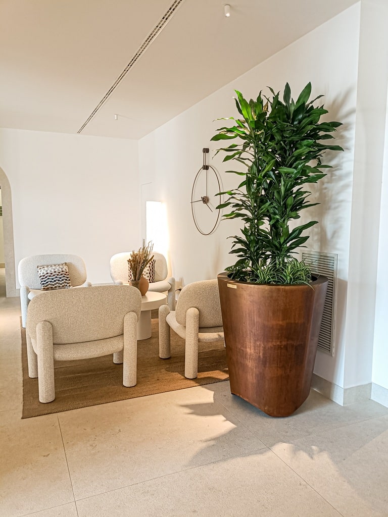 Hotel Cala Ponte — Fioriera nell'area salotto