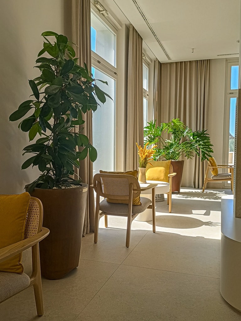 Hotel Cala Ponte — Fioriera nell'area relax