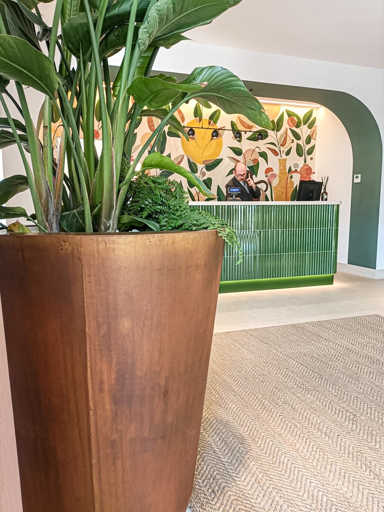 Hotel Cala Ponte — Fioriera con piante